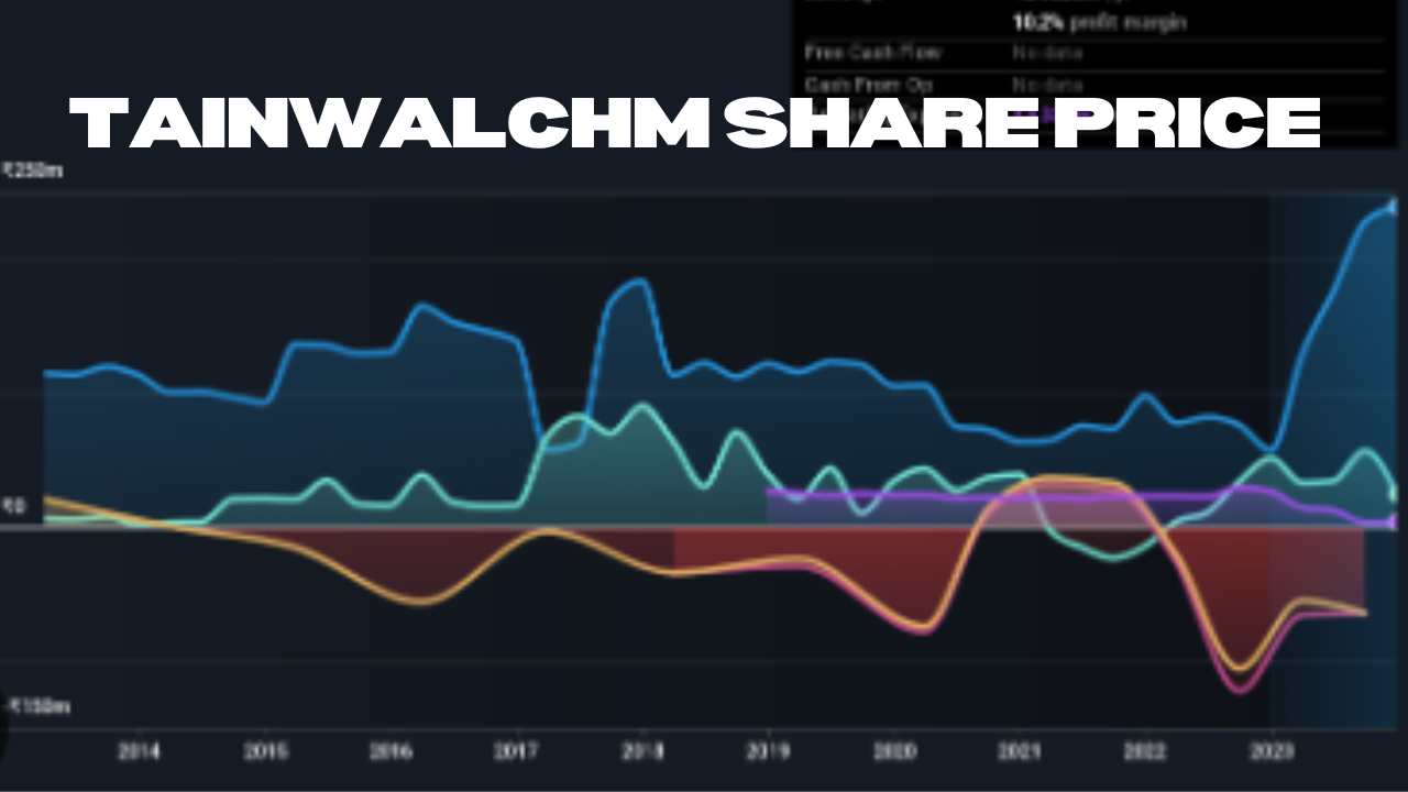 TAINWALCHM Share Price