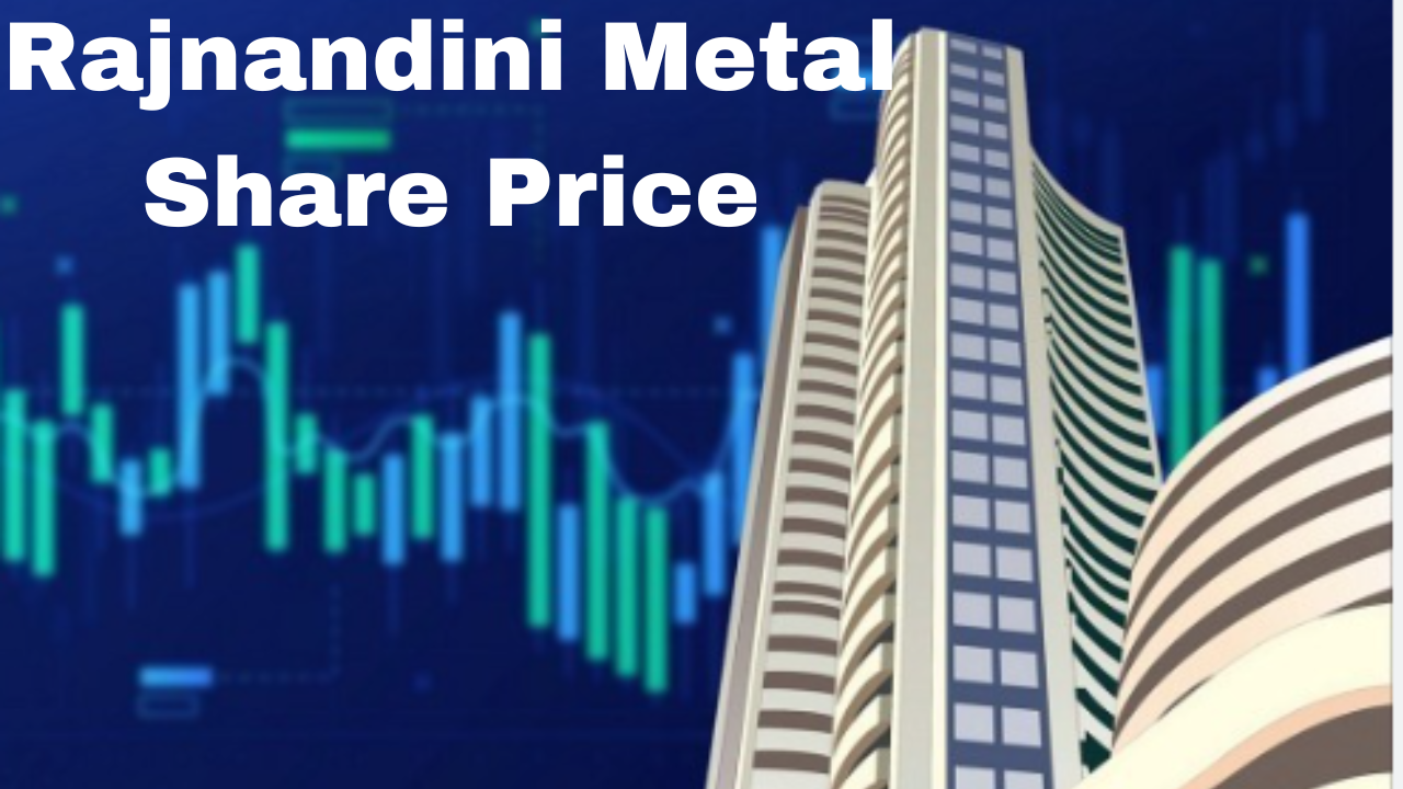 rajnandini metal share price